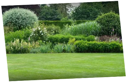 Servicio de Jardinería Mantenimiento de jardines