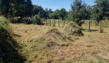 Desbroce y limpieza fincas Limpieza y desbroce fincas parcelas